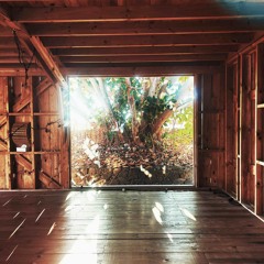 Sunlight Echoes