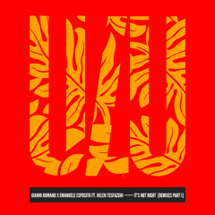 It's Not Right (The Deepshakerz Remix) [feat. Helen Tesfazghi]