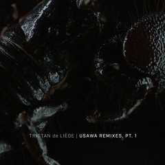 Soana (feat. Cameo Adele) (Koresma Remix)
