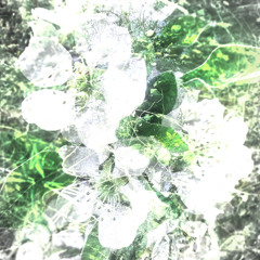 neptunejelly : light (prod fabii)