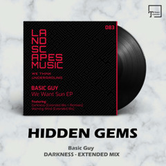 HIDDEN GEMS: Basic Guy - Darkness (Extended Mix) [LANDSCAPES MUSIC]
