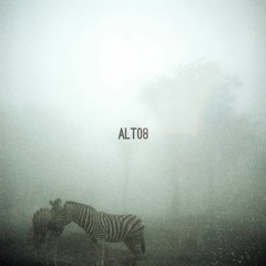 Alberto Tolo, DIT ZY - Foggy Safari [ALT08]