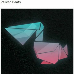 Pelican Beats - Komm Doch Down ( IanColeen Remix )
