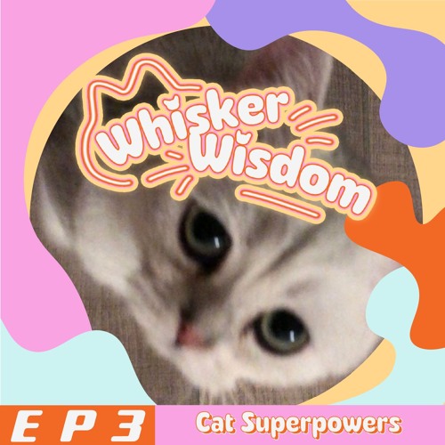 Cat Superpowers: Unleashing the Extraordinary Abilities of Cats feat. Chris @PET PLANET