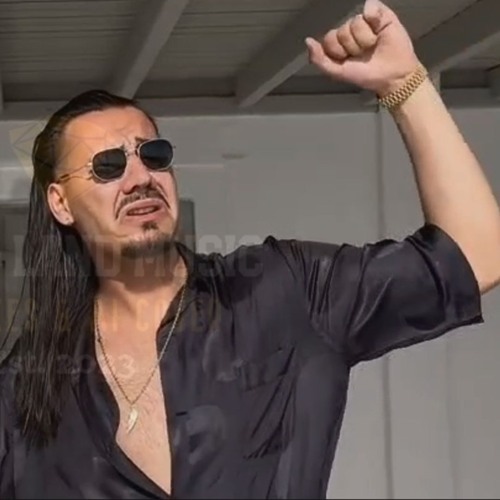 Apache 207 - Seit ich weg bin (Remix Land Version) AI
