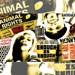 Angles- Indigenous Cats (Remake of "Gotta Lotta Walls" by Atmosphere)