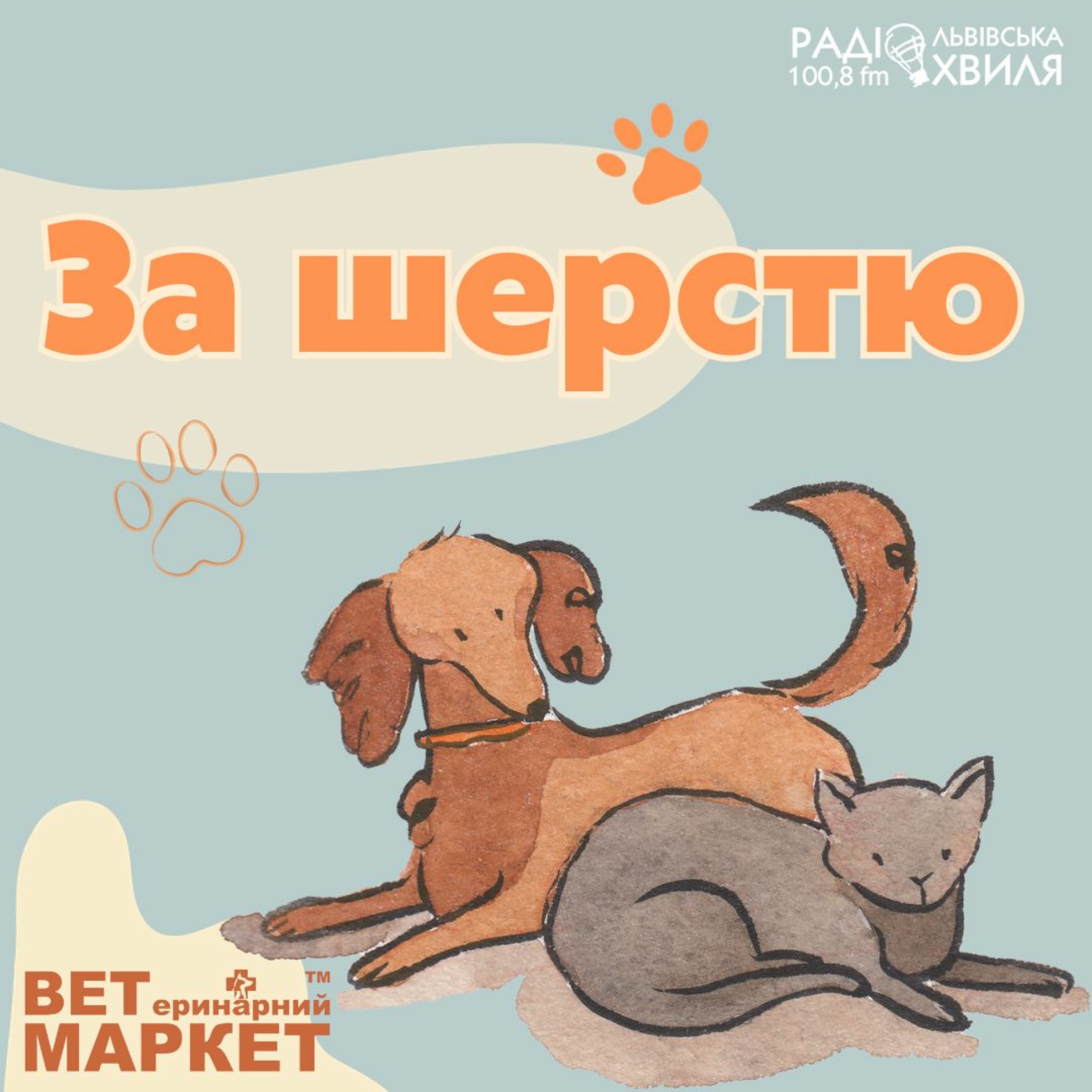 Чому ваш кіт не спить вночі? // випуск 6 episode artwork