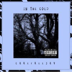 IN THE COLD