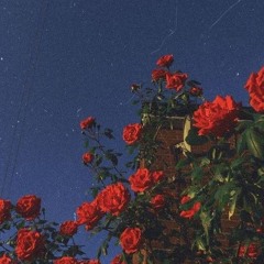 mùa đông (chị đẹp đạp gió 2024) (cover)