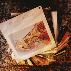 Transport Records (psych, ambient, folk, jazz, eclectic and classical trip music) Grillbar Mix #12