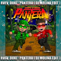 RVFV, DUKI - PANTERA ( DJ MOLINA EDIT 2022 ) (COPYRIGHT)Disponible en YOUTUBE!!!!