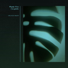 Indefinite Pitch PREMIERES. Piante Vive - Linfa [Oslated]