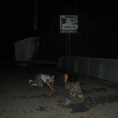 Mis harmonica screams