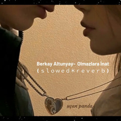 Berkay Altunyay - Olmazlara İnat (Slowed - Reverb)