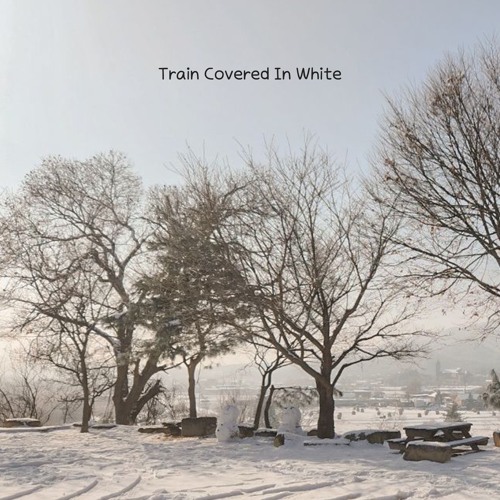 Train Covered In White