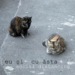 Eu Și Cu     Ăsta  -      Social Distancing LP