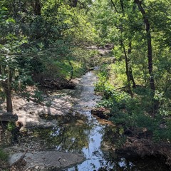 Bweagle - Deephouse049