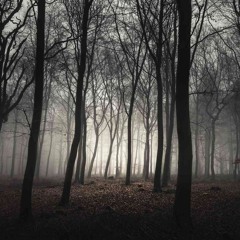 Adventure In No Where Woods (Radio Play Experiment)