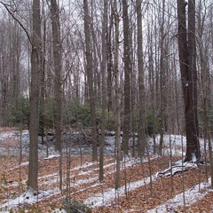 evermore interlude eras tour