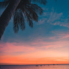 Hello Summer 2026 - Tùng Trây Ft. MSO