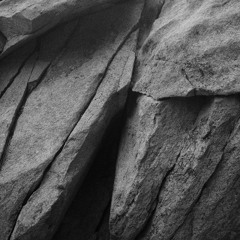 Ergotic Bloom 042125 (forgotten spicer mix)