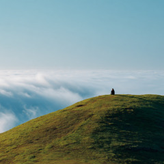 I Wish I Never Met You