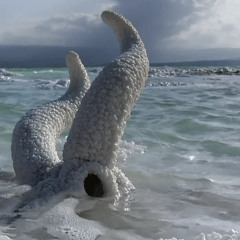 W.O.Y.I.T.G.???, Pt. 2: The Regrettable Action