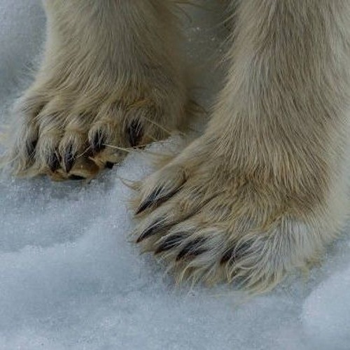 whatismypurpose?...잃어버린