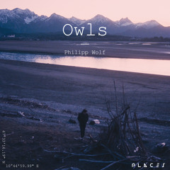 Owls (Edit)