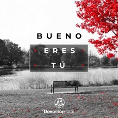 Bueno Eres Tú