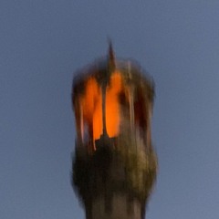 An1ma W/ MOLINARO 080925