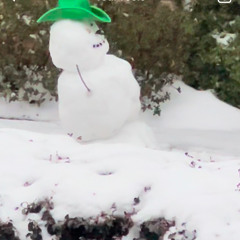 Snow Day