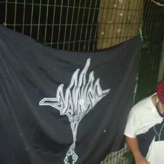 desabafo de um spider de raça