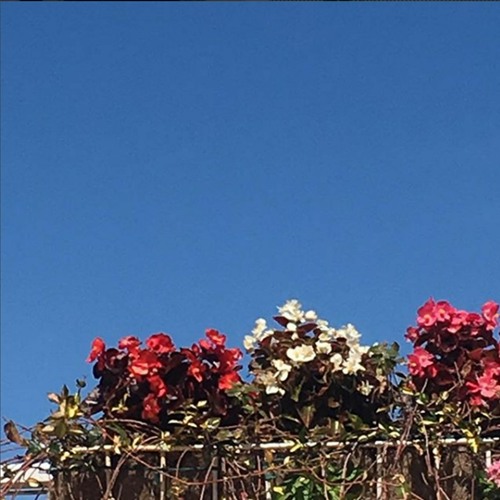 gracious (ft. riovaz)(prod. trendy)