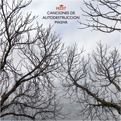 I Wanna Hit Your Sex