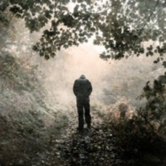 Looking For The Strength