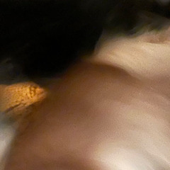 Ecstatic Dance Oakland - Live at Sweets - 4-2-25