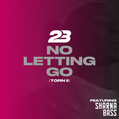 No Letting Go (Torn 2) [feat. Sharna Bass]