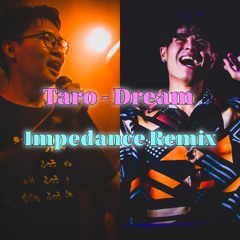 Taro - Dream (Impedance Remix)