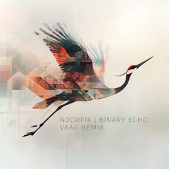 Binary Echo (Vaag Remix)