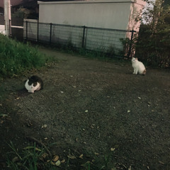ペトルーシュカ