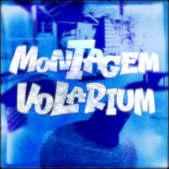 MONTAGEM VOLARIUM