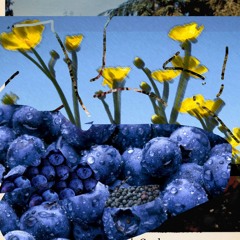 The Girl with the Blueberry Heart