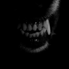 big bad wolf (prod by. @siemspark x @prodnatemorgan x @proddreamz)