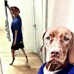 Positive Collection vol.1