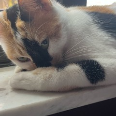 and i love you too