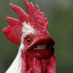 It’s the “chicken lips 👄 “ again various techno hardtrance and hard house