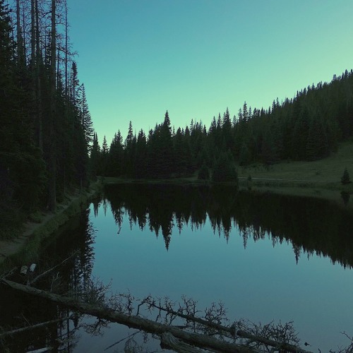 Space Within (Instrumental)