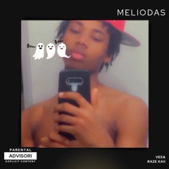 Meliodas (Feat.RaZeKaii) [Prod.Narcix]