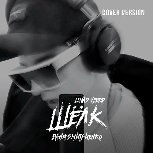 Ваня Дмитриенко — Шёлк [cover version]
